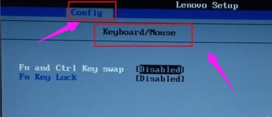 笔记本功能键,详细教您笔记本功能键怎么设置