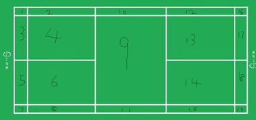 羽毛球比赛单打双打的场地的规则