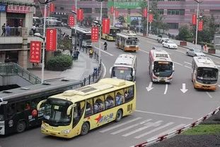 公交车上那些不道德的奇葩事 你在重庆遇到过多少