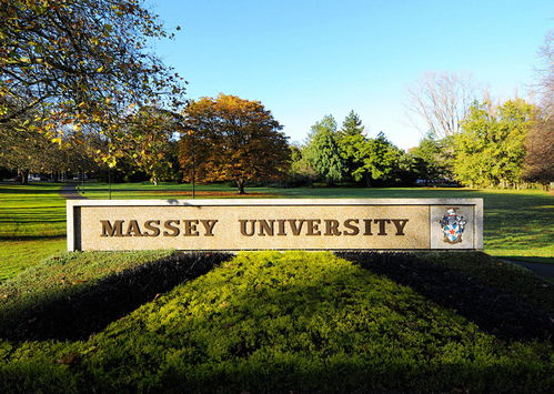 梅西大学在新西兰哪个城市(新西兰梅西大学国内认可度)