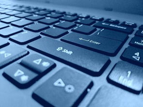 笔记本电脑键盘的英文键怎么输入的都是数字怎么改回来 