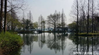 杭州西湖的三提介绍(西湖三堤是哪三堤)