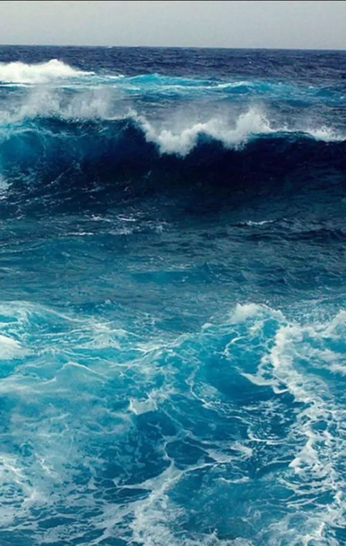 浅蓝色大海系壁纸 你喜欢大海,我爱过你