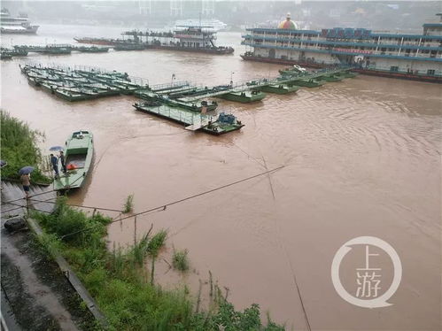 注意 最大洪峰过境重庆主城,多地被淹 船舶停运 更坏的消息是..... 