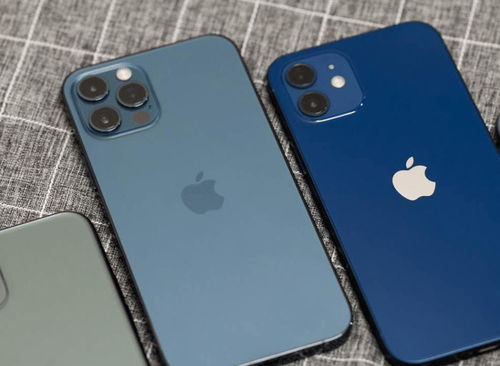 盘点苹果2020年推出的五款手机,价格最低只要三千多