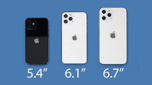 iphone12处理器相当于骁龙(苹果12处理器区别)