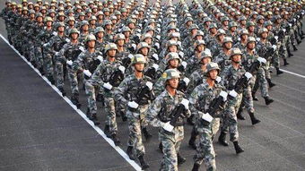 只中国军队的最新编制 你了解吗