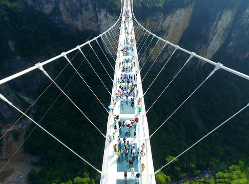 三亚玻璃桥门票多少钱一张南湾猴岛旅游攻略(三亚 玻璃栈道)