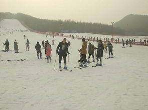 沈阳周边滑雪场哪个好,辽宁省内都有什么滑雪场,哪个好一些,能大一些