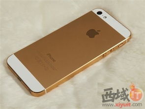 粉色金色限量驾到 苹果iPhone 5已到货