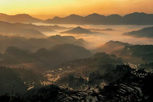 成都邛崃天台山门票 风景名胜区 国家森林公园