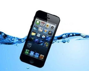 手机进水了怎么弄(手机进水了怎么弄干)