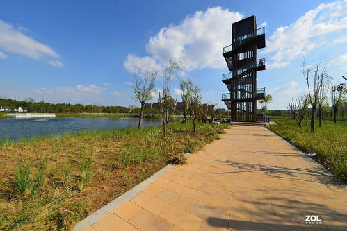 江东生态湿地公园