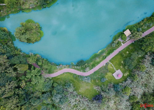 北京五日游最佳方案路线济西湿地公园2022暂停开放(济西湿地公园收费吗)
