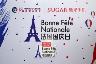 法国驻广州总领事 糖果翻译手机助力中外文化交流 