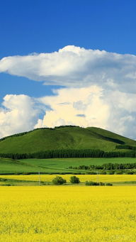 有一种旅行,叫夏天去内蒙古看草原 