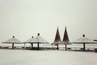 宁夏冬天好玩的地方 宁夏最美雪景景点推荐