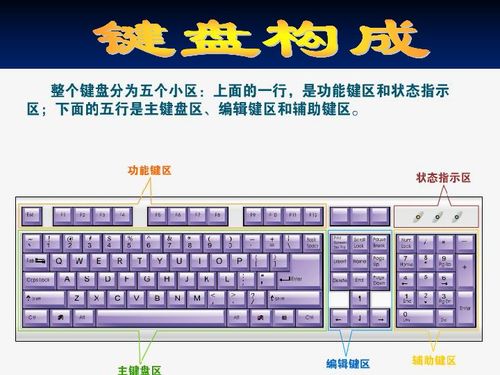 键盘常用15个功能键(键盘常用15个功能键基础知识)